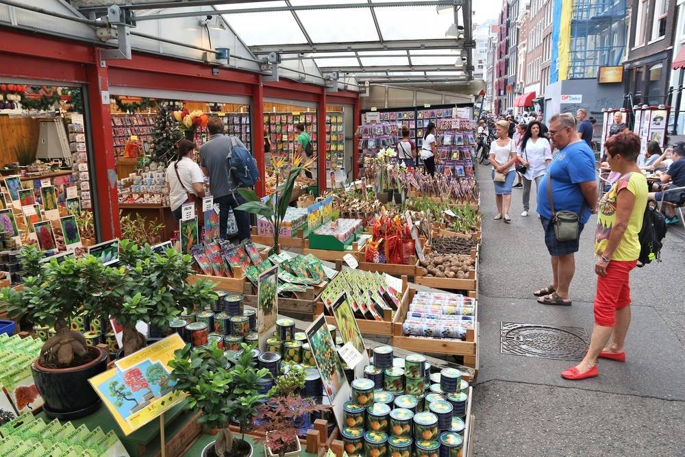  Local flower stalls at Nieuwmarkt, a hidden gem flower market in Amsterdam