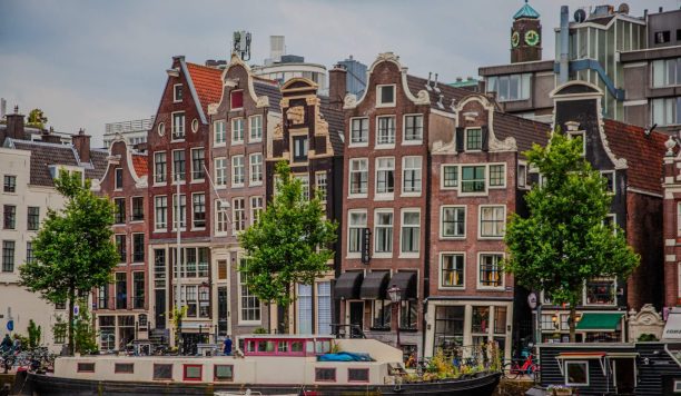 photo_2025-08-07_01-48-24 (1)